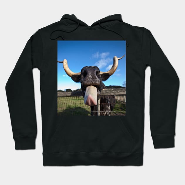 Cow Tongue Funny Cute Cow Hoodie by Karin Wright